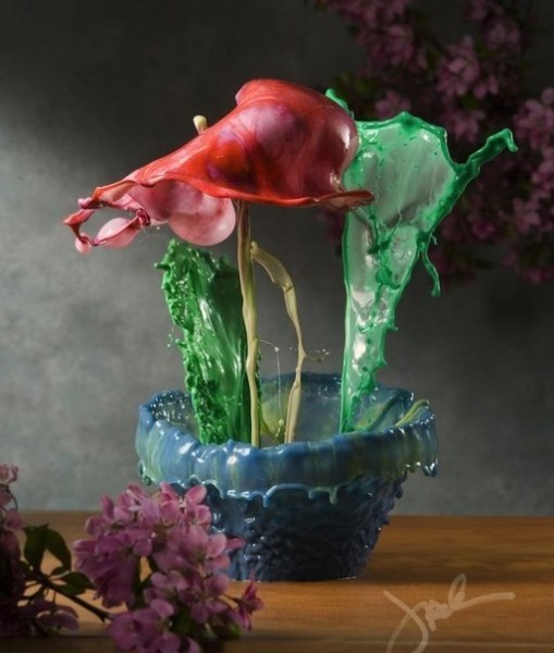 Жидкие цветы Фотограф из Милуоки Джек Лонг овладел искусством разливной фотографии. (#стихи_разное)
