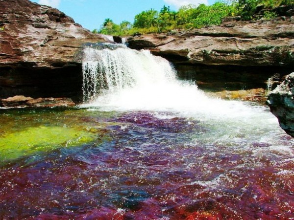 Каньо Кристалес - уникальная река, расположенная в Колумбии. В ложе (#стихи_разное)