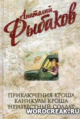                              Книга Неизвестный солдат читать онлайн                        (Анатолий Рыбаков)