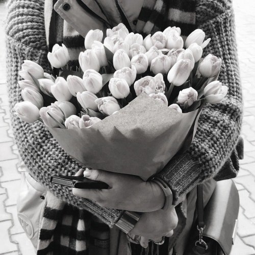 Андрей Дементьев Дарите женщинам цветы. Не только в праздники, Как