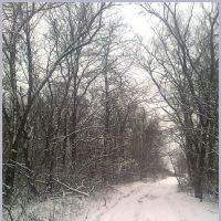 Зимняя дорога 2012 год