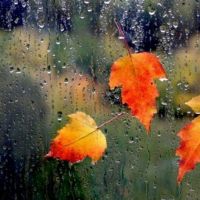  Дождь рисует узор на стекле (marina 67. стихи и басни)