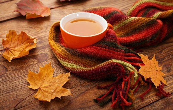 Наверно виновата эта осень, Что все мы греем души теплым чаем. И