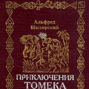                              Книга Приключения Томека на Черном континенте читать онлайн                        (Альфред Шклярский)