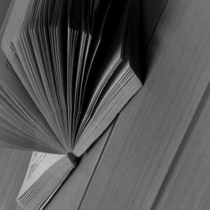 10 отличных книг, объемом до 300 страниц, которые читаются на одном дыхании 1.