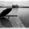  Вне зоны доступа. (marina 67. стихи и басни)