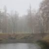 Осенние мотивы.