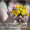  Не выношу,когда играют в чувства (marina 67. стихи и басни)