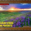 Выйду в поле на рассвете
