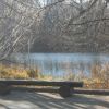  В городском саду (marina 67. стихи и басни)