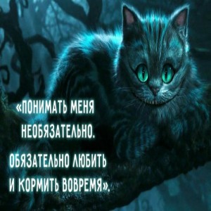 28 мудростей Чеширского Кота 1 Серьезное отношение к чему бы то ни было в этом мире является роковой ошибкой.