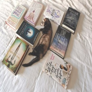 Книги, которые дарят наслаждение 1. Мастер и Маргарита - Михаил