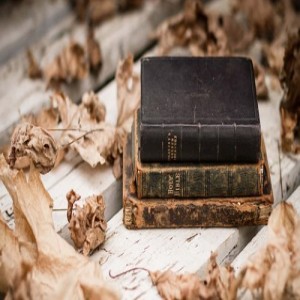  Подборка качественных исторических книг, которые можно назвать эмоционально и психологически трудными произведениями. 