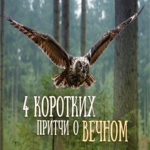 О друзьях У мудрого человека спросили Сколько видов дружбы существует Четыре, ответил он.