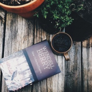  10 шикарных книг из выпуска Золотая серия поэзия Часть 1 1. Есано 