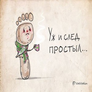 Почему русский язык так сложно учить иностранцам Перед нами стол.