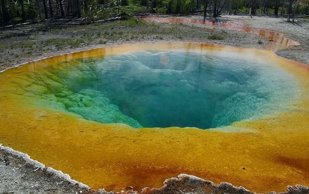 В Национальном Парке Yellowstone, находится одно очень красивое озеро - Озеро Утренней Славы (Morning Glory Pool). Это самый знаменитый источник национального парка.