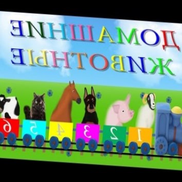 Изучение животных, цвета, цифр. Развивающие мультики