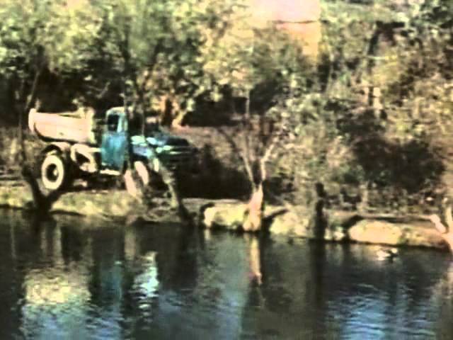 А себя я простить не могу