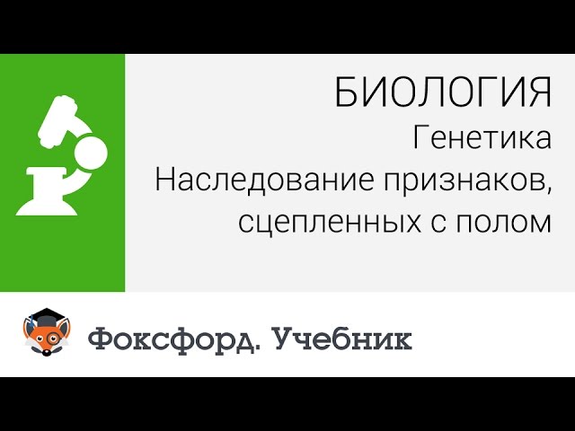 Биология. Генетика: Наследование признаков, сцепленных с полом. Центр онлайн-обучения «Фоксфорд»