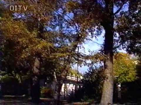 Георгий Виноградов В городском саду