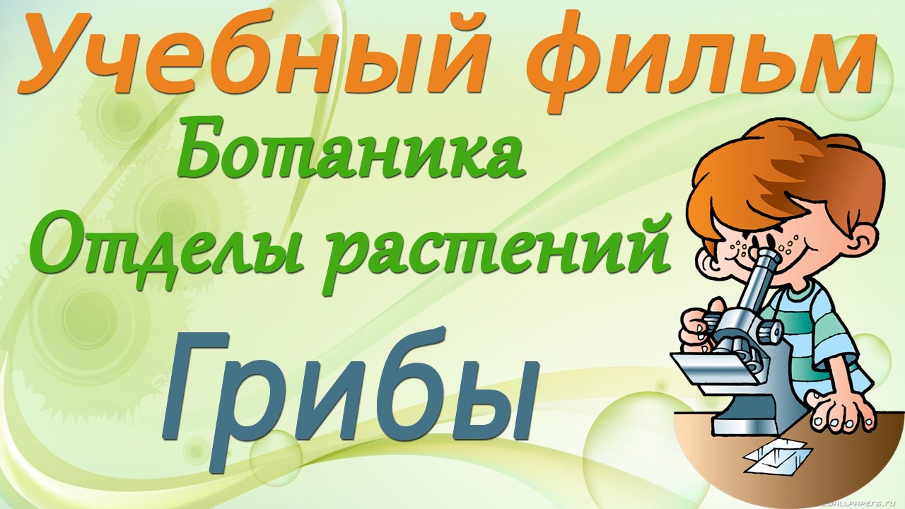 Грибы. Учебный фильм по ботанике