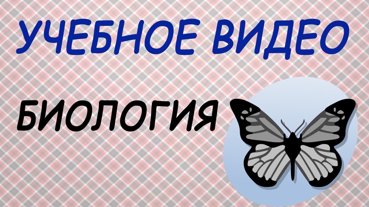 Опыление цветковых растений. Учебный фильм по биологии