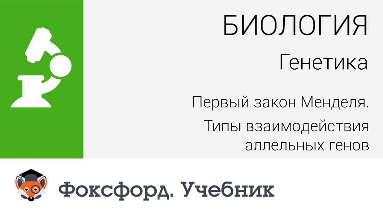 Первый закон Менделя. Типы взаимодействия аллельных генов. Центр онлайн-обучения «Фоксфорд»