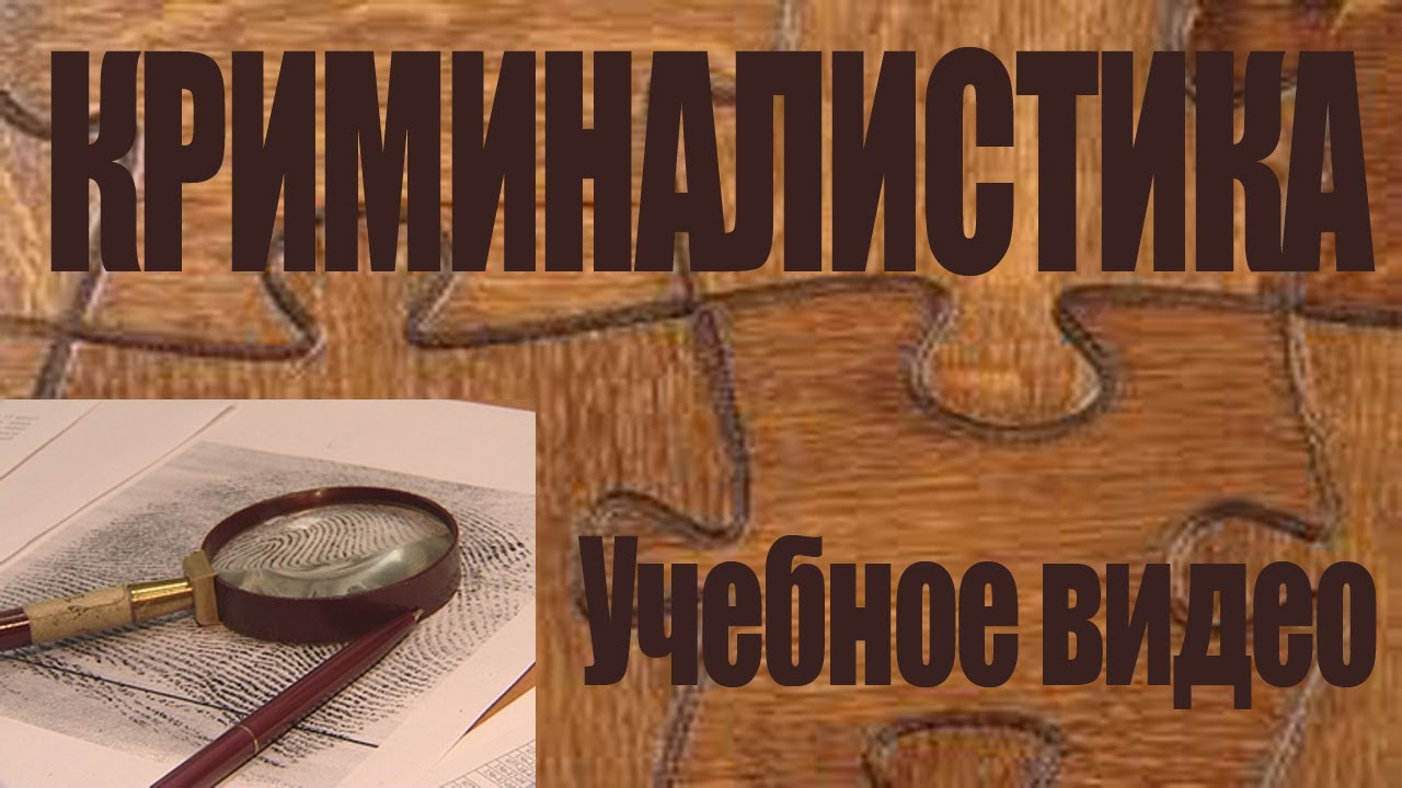 Портретная идентификация. Учебный фильм по криминалистике