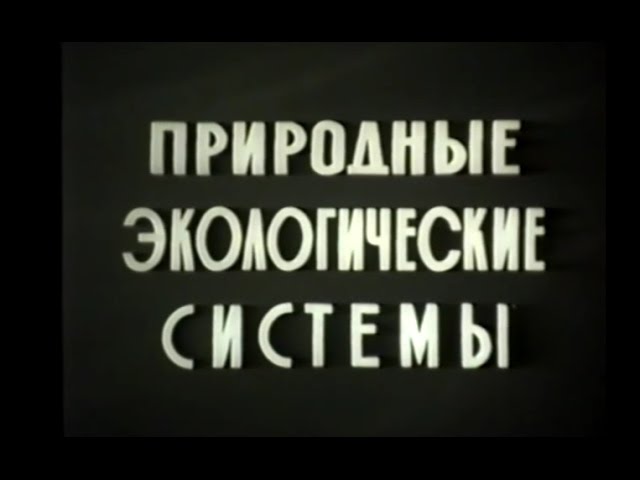 Природные экологические системы. Учебный фильм