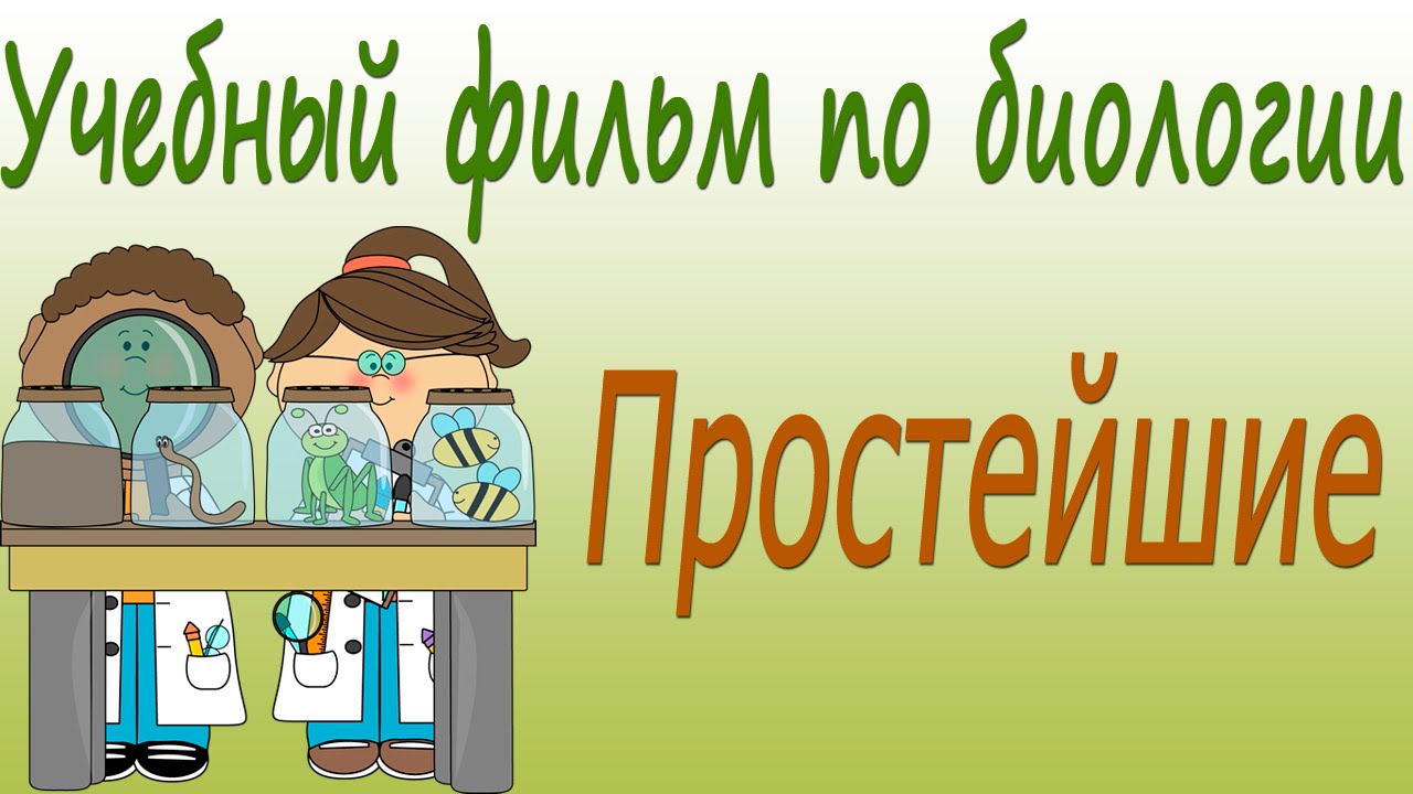 Простейшие. Учебный фильм по биологии