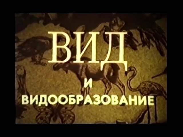 Вид и видообразование. Учебный фильм