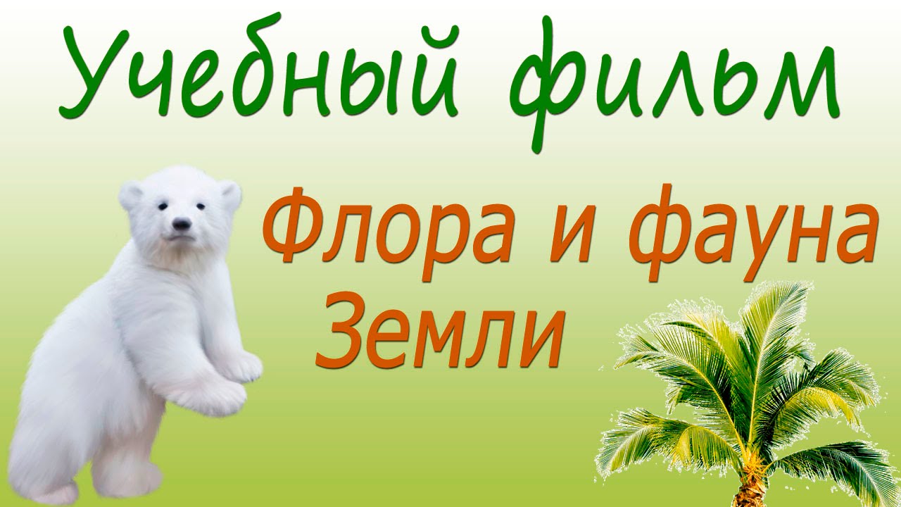 Животные природных зон СССР. Флора и фауна Земли. Учебный фильм
