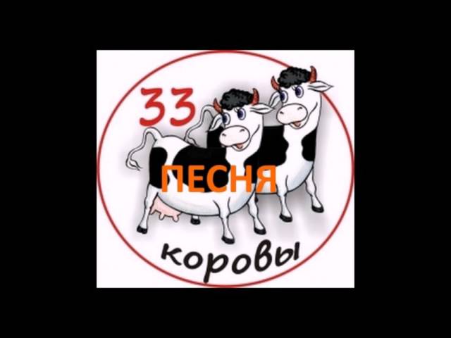 33 Коровы