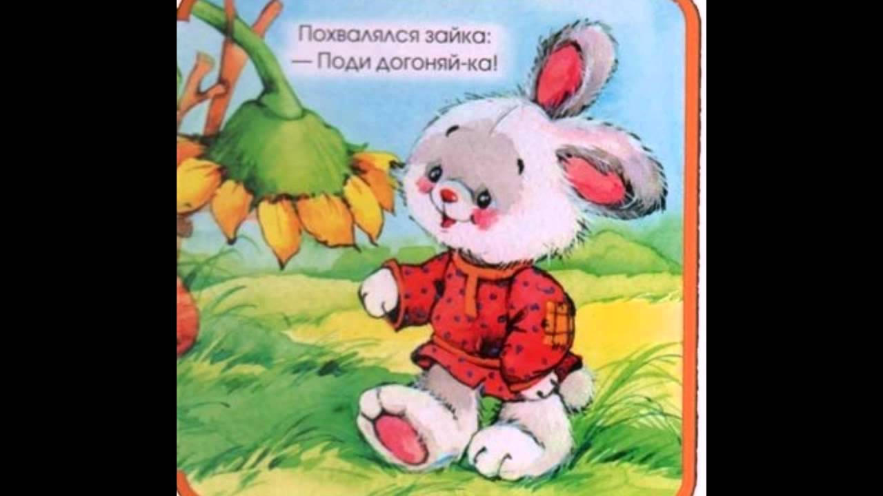 Тень тень потетень