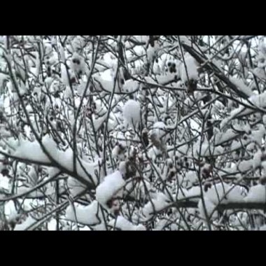 Снежная сказка.avi (для души)