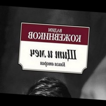 Вадим Кожевников. Щит и меч. Книга вторая 10 - аудио книга
