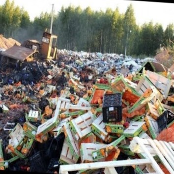 Уничтожение и сжигание продуктов (ужас в России)