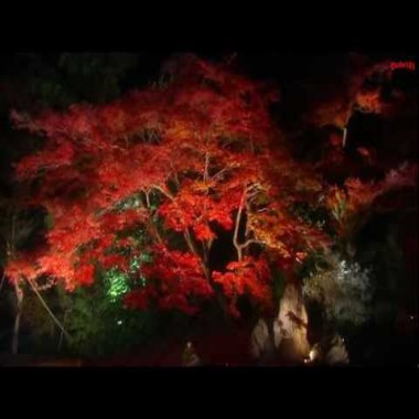 Омар Хайям - Дай чашу и слушай 18