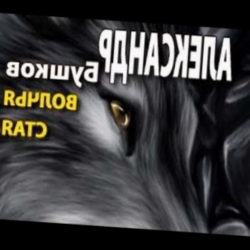 Александр Бушков. Волчья стая 4 - аудио книга