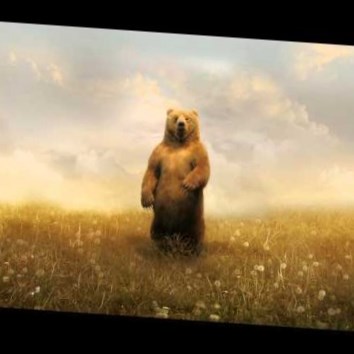 Сладков Медведь-дармоед