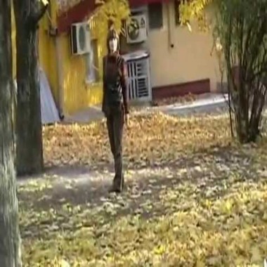 Осень в Донецке (для души)